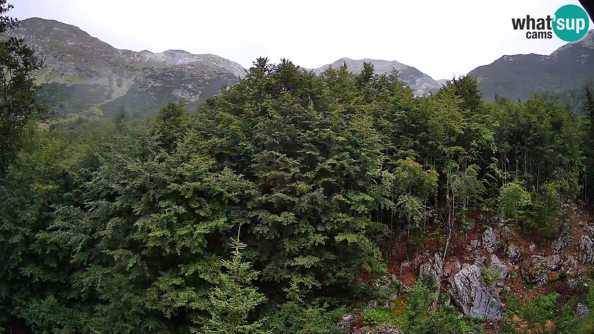 PLANINA RAZOR Live Cam (1315) | vista su Vogel e Globoko