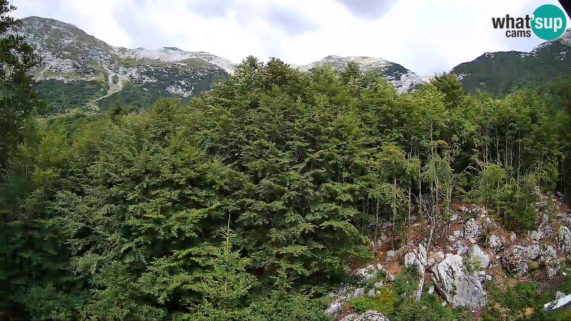 Webcam PLANINA RAZOR (1315) | Blick auf Vogel und Globoko