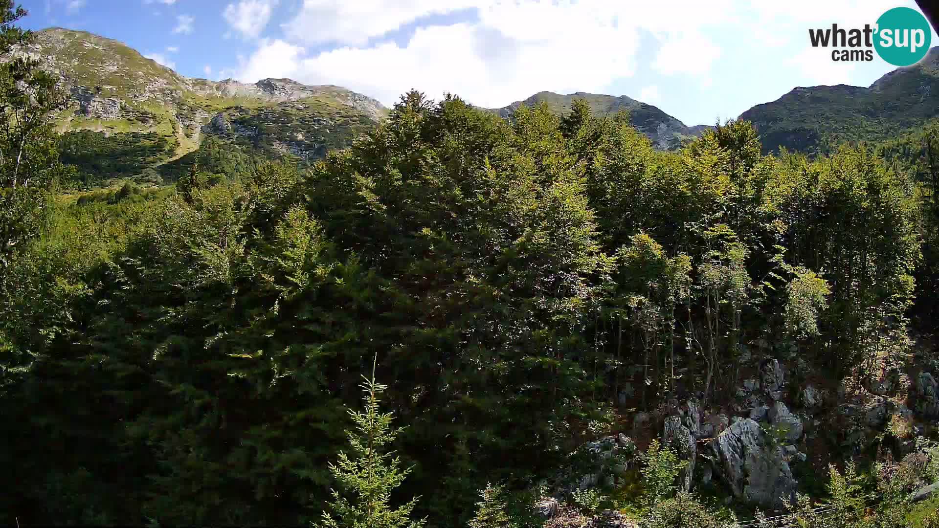 PLANINA RAZOR kamera (1315) | pogled na Vogel in Globoko