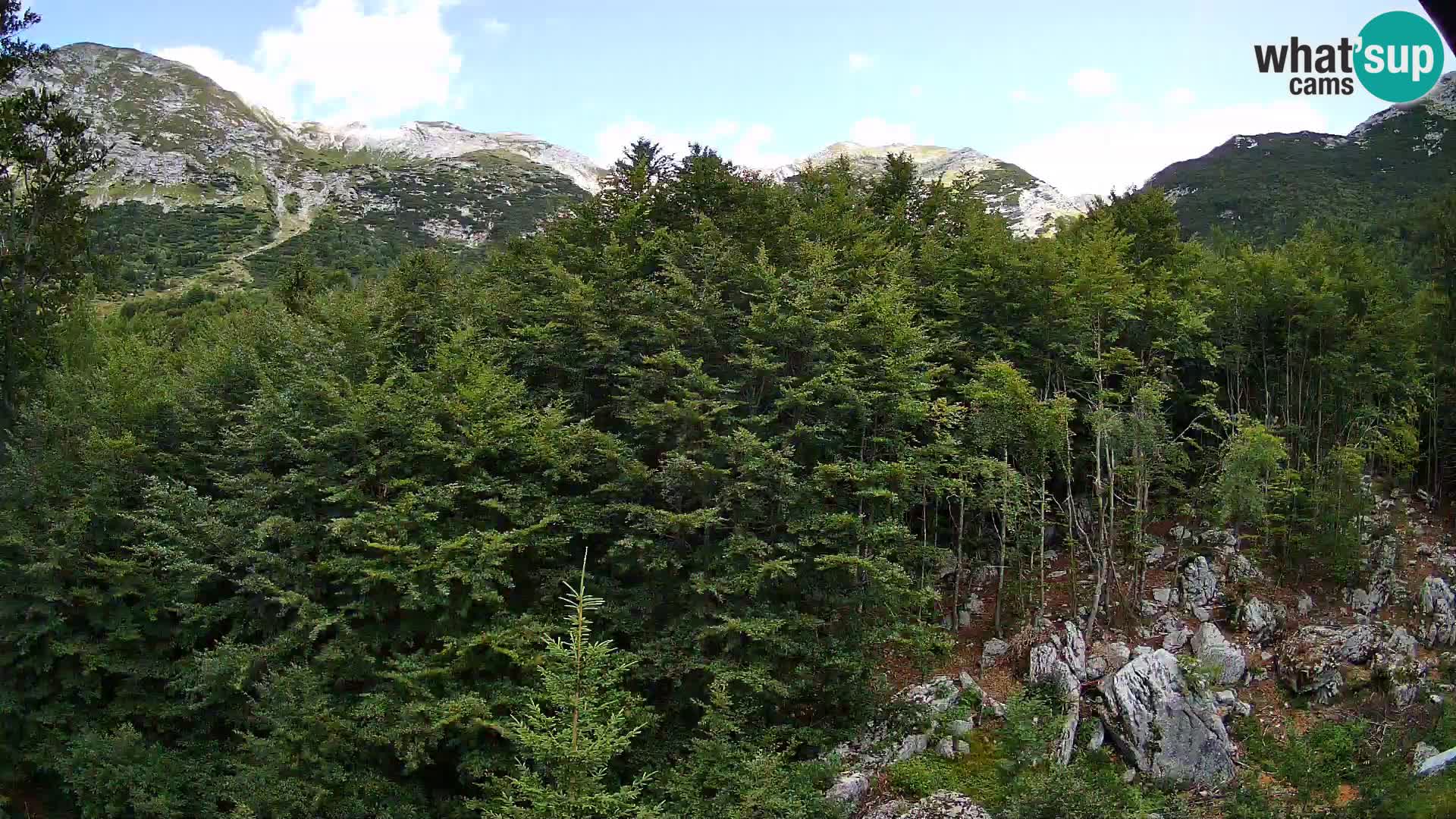 PLANINA RAZOR web kamera (1315) | pogled na Vogel i Globoko