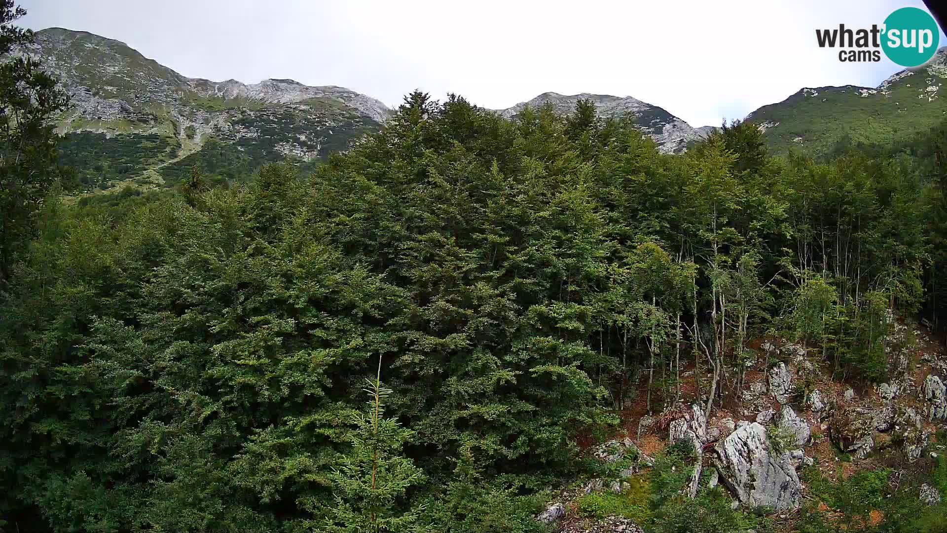 PLANINA RAZOR webcam (1315) | view to Vogel and Globoko