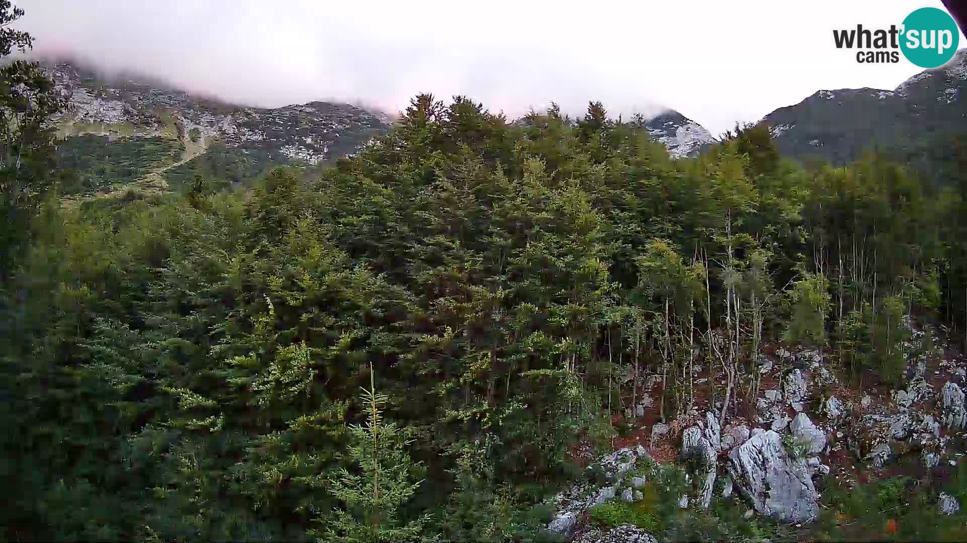 PLANINA RAZOR web kamera (1315) | pogled na Vogel i Globoko