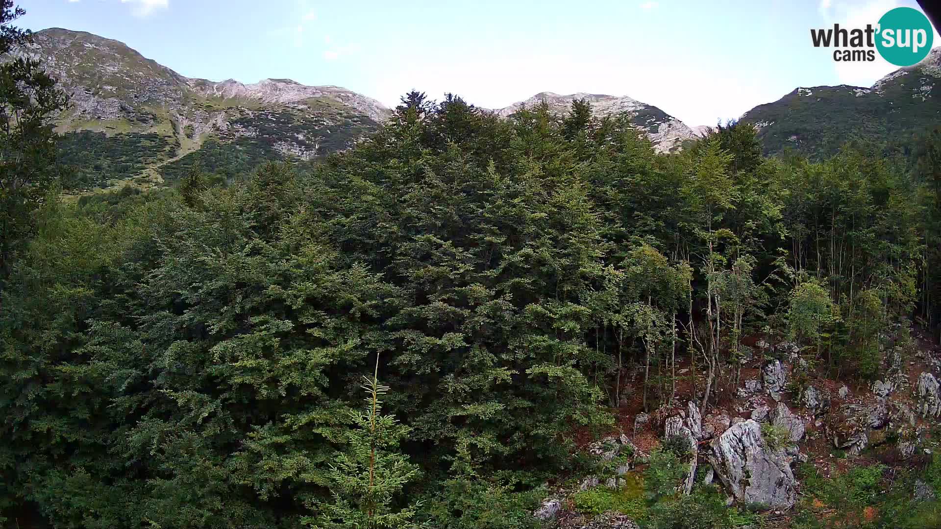 PLANINA RAZOR Live Cam (1315) | vista su Vogel e Globoko
