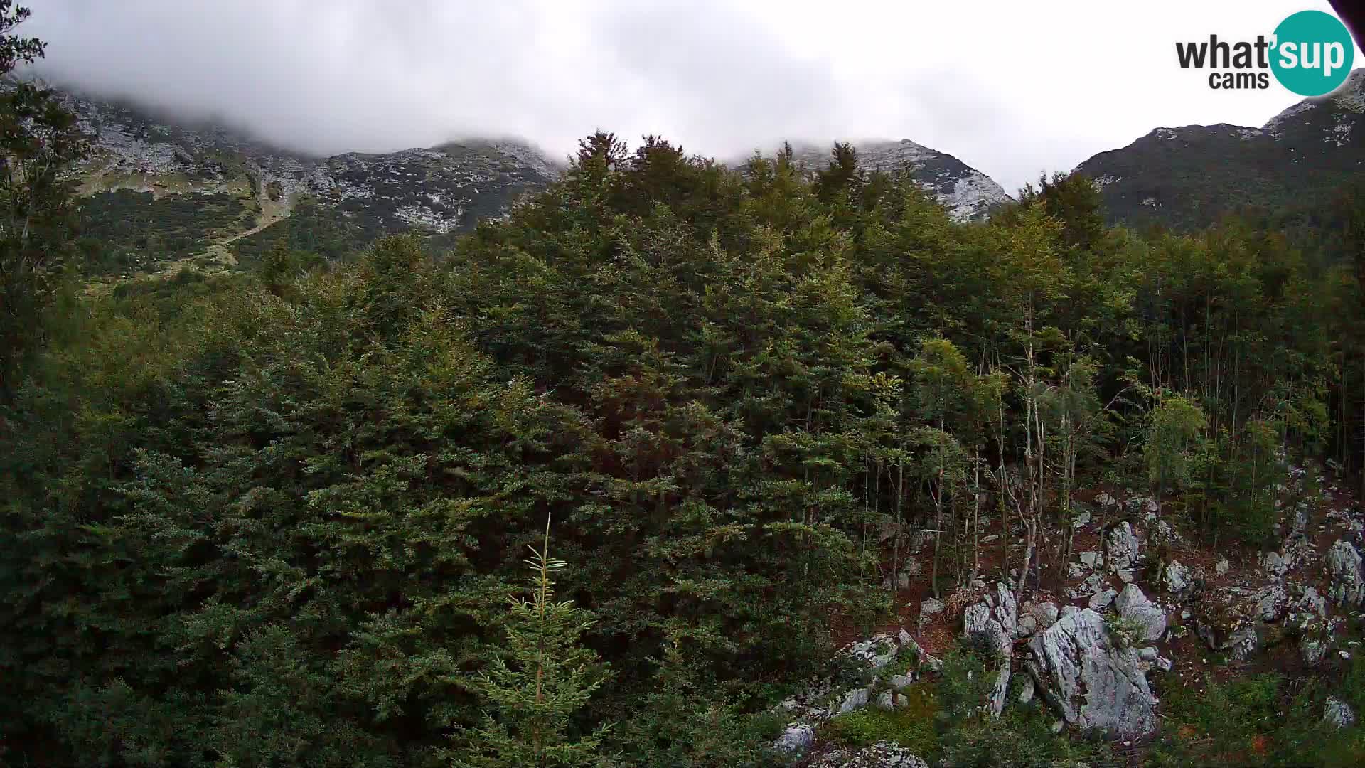 PLANINA RAZOR Live Cam (1315) | vista su Vogel e Globoko