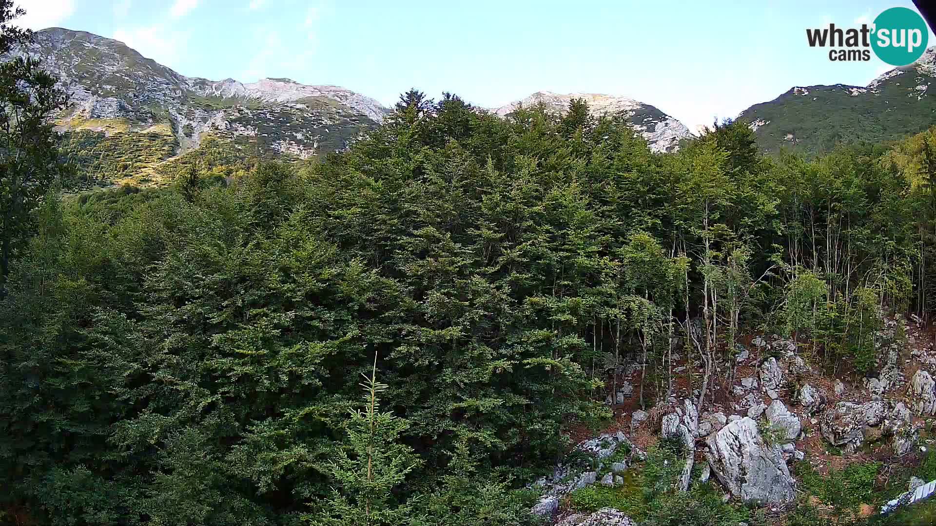 PLANINA RAZOR webcam (1315) | view to Vogel and Globoko
