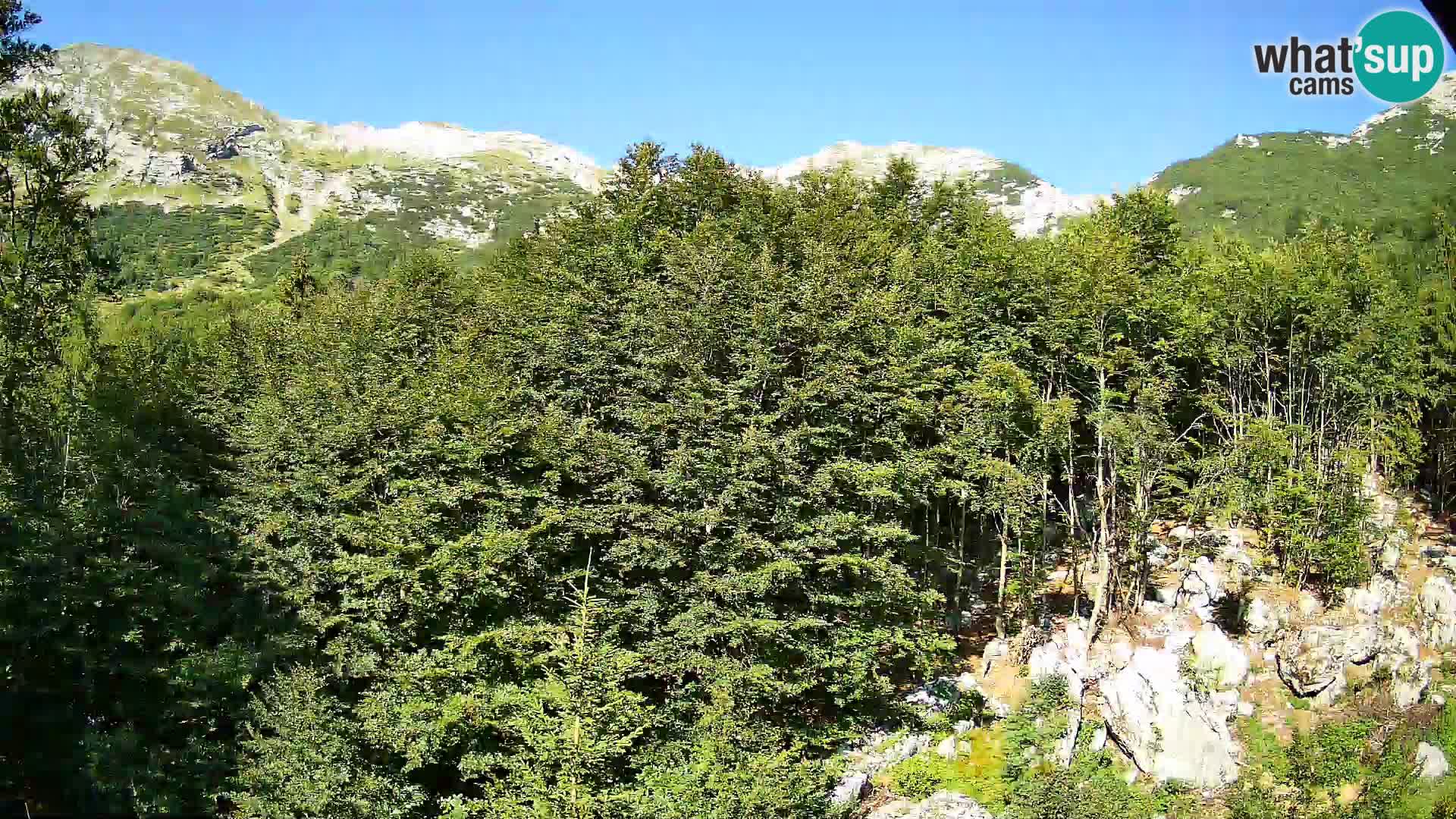 PLANINA RAZOR Live Cam (1315) | vista su Vogel e Globoko