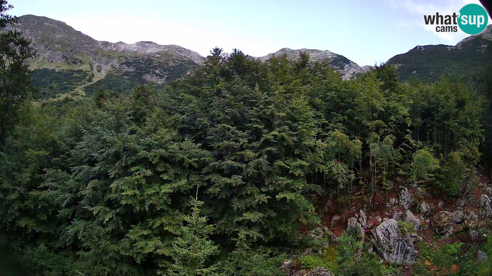 PLANINA RAZOR webcam (1315) | view to Vogel and Globoko