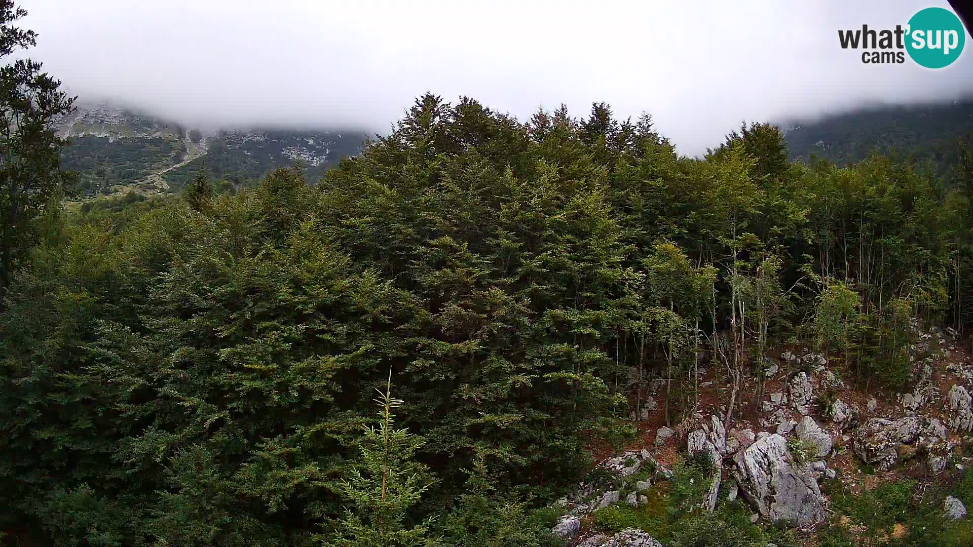 Livecam PLANINA RAZOR (1315) | vue sur Vogel et Globoko