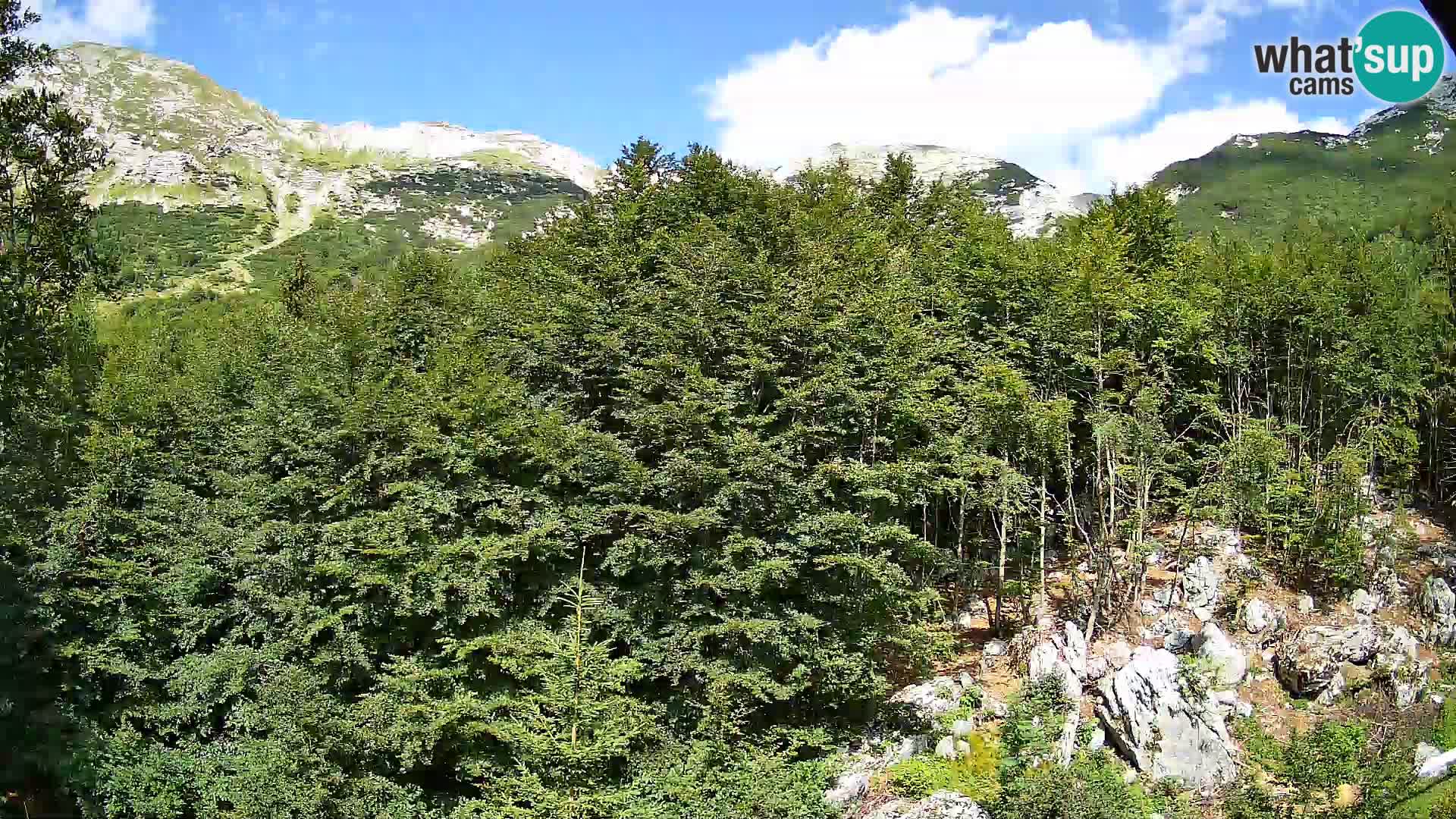 PLANINA RAZOR web kamera (1315) | pogled na Vogel i Globoko