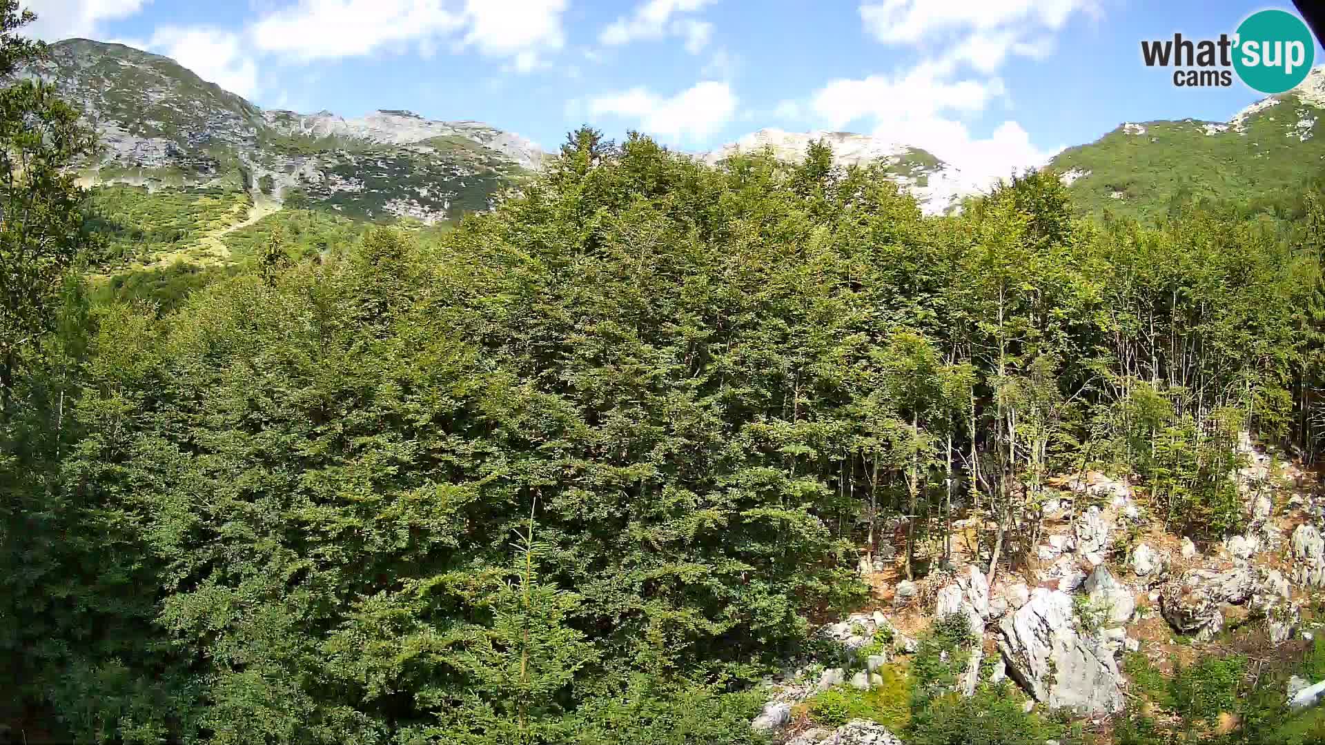 Livecam PLANINA RAZOR (1315) | vue sur Vogel et Globoko