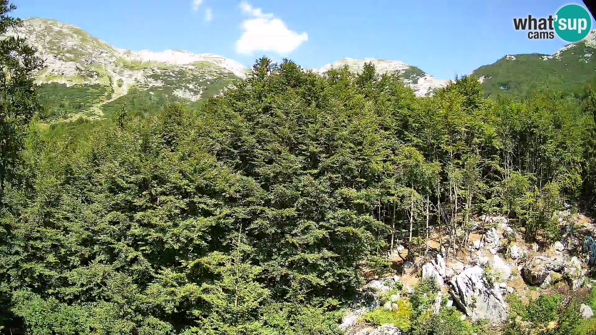 Webcam PLANINA RAZOR (1315) | Blick auf Vogel und Globoko
