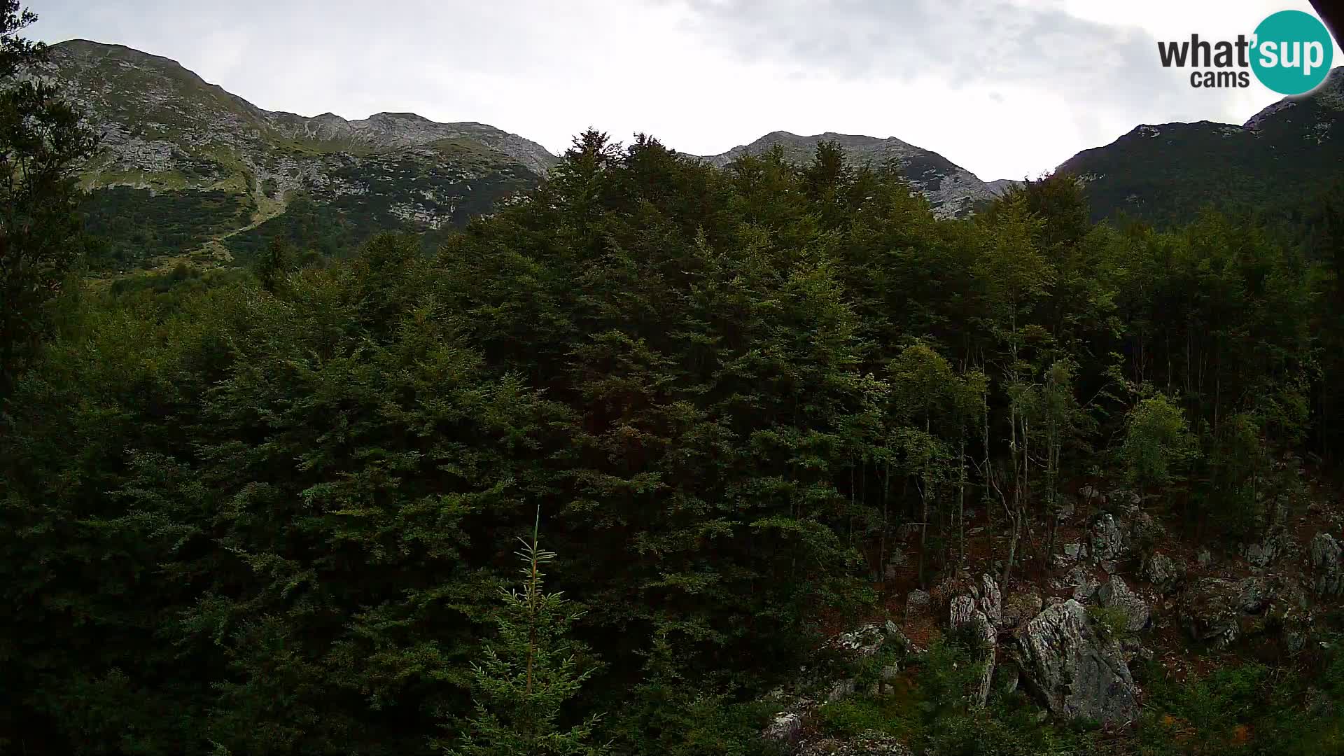 Webcam PLANINA RAZOR (1315) | Blick auf Vogel und Globoko