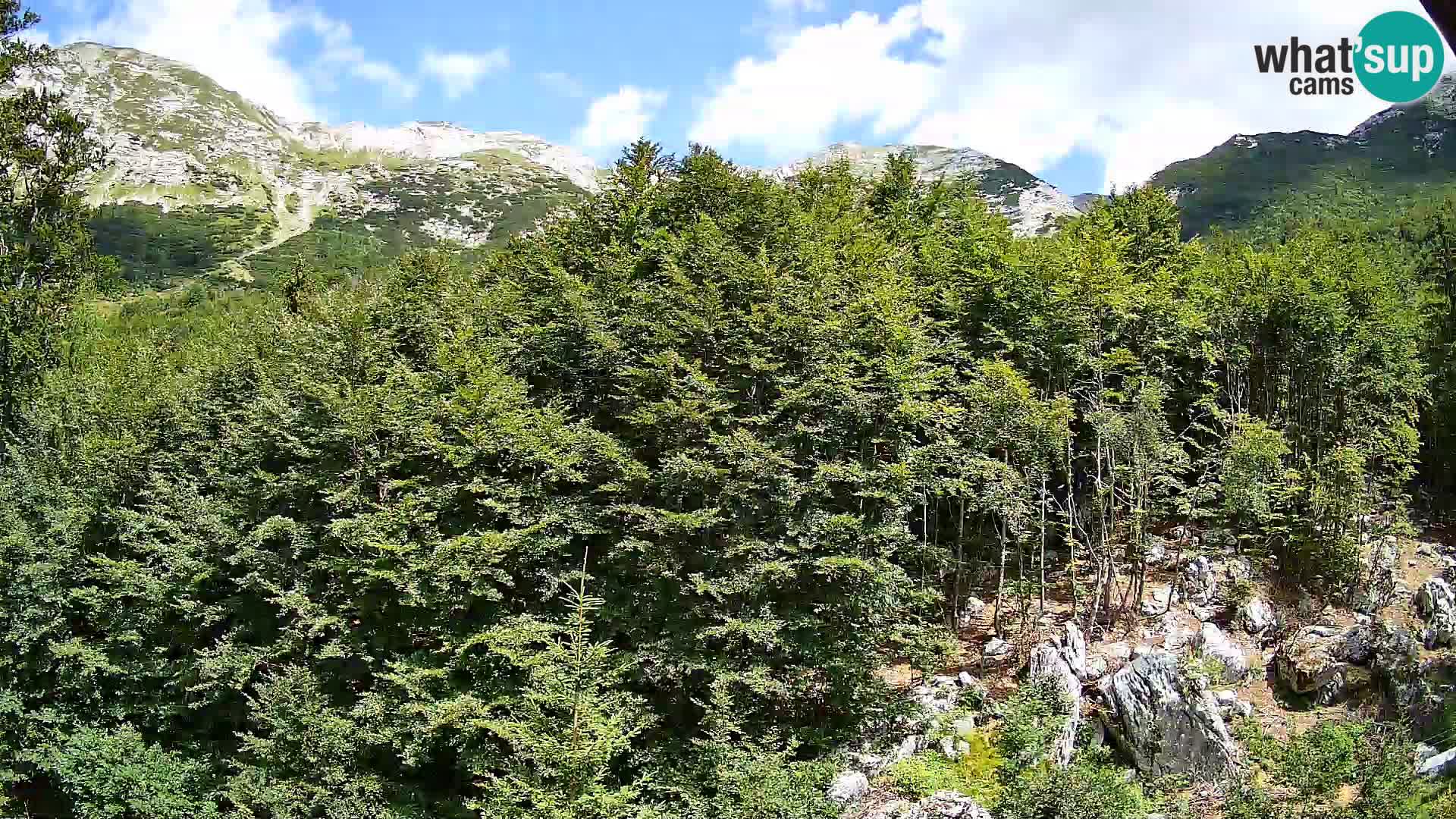 Cámara web PLANINA RAZOR (1315) | vista a Vogel y Globoko