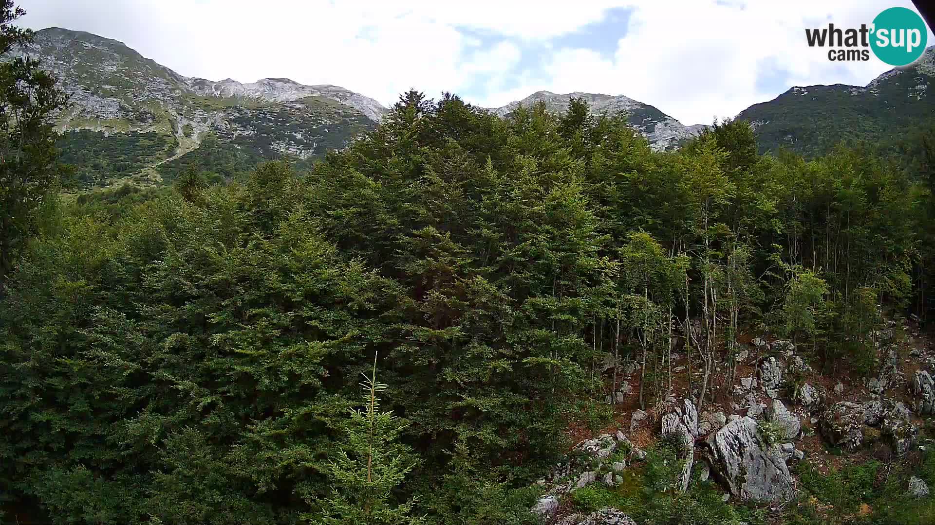 Webcam PLANINA RAZOR (1315) | Blick auf Vogel und Globoko