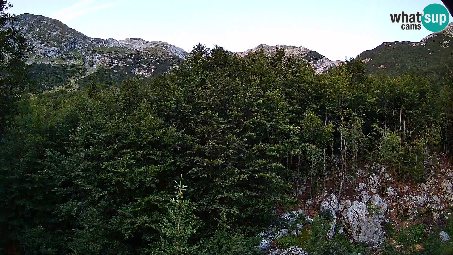 PLANINA RAZOR Live Cam (1315) | vista su Vogel e Globoko