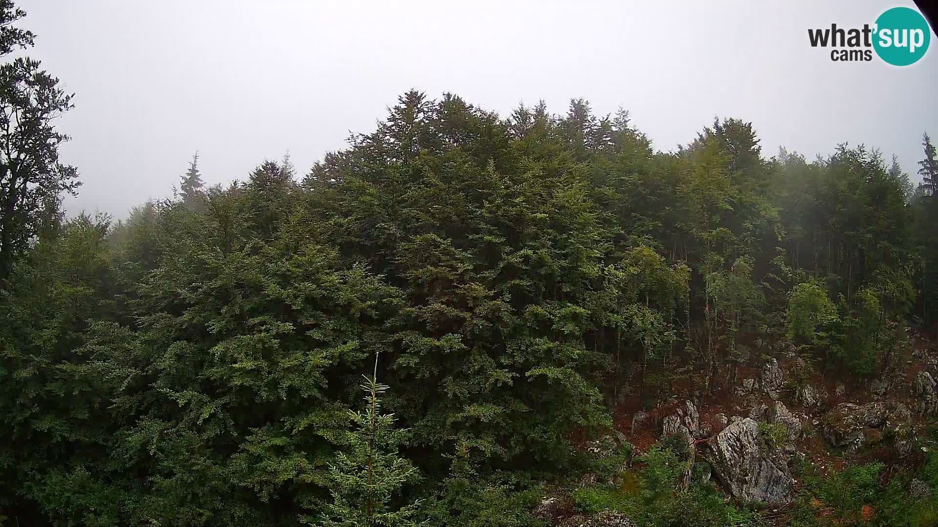 PLANINA RAZOR webcam (1315) | view to Vogel and Globoko
