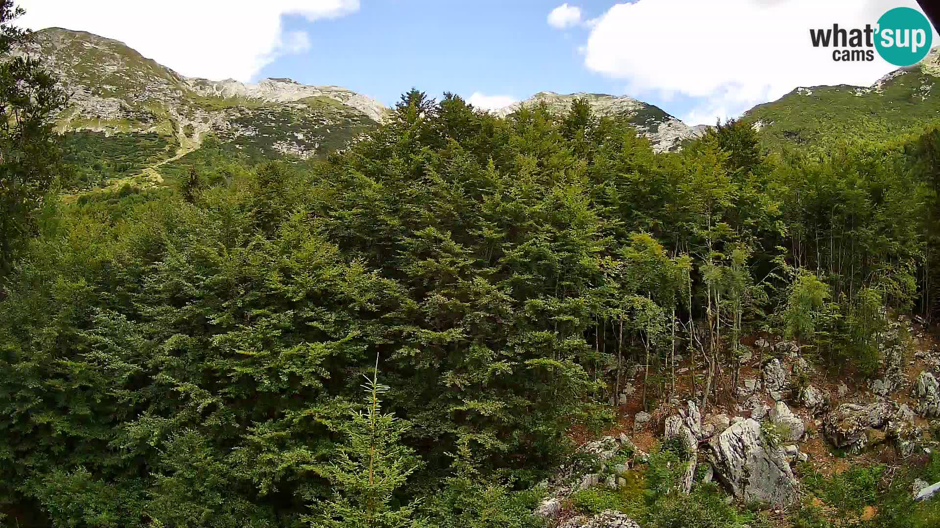 PLANINA RAZOR web kamera (1315) | pogled na Vogel i Globoko