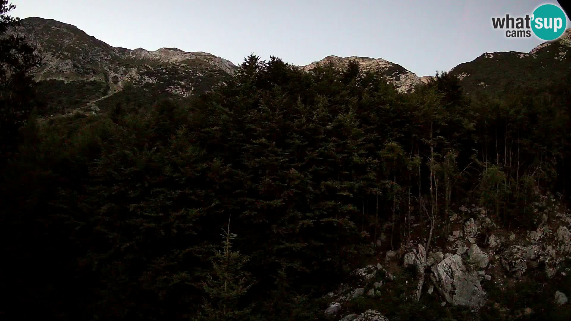 Webcam PLANINA RAZOR (1315) | Blick auf Vogel und Globoko