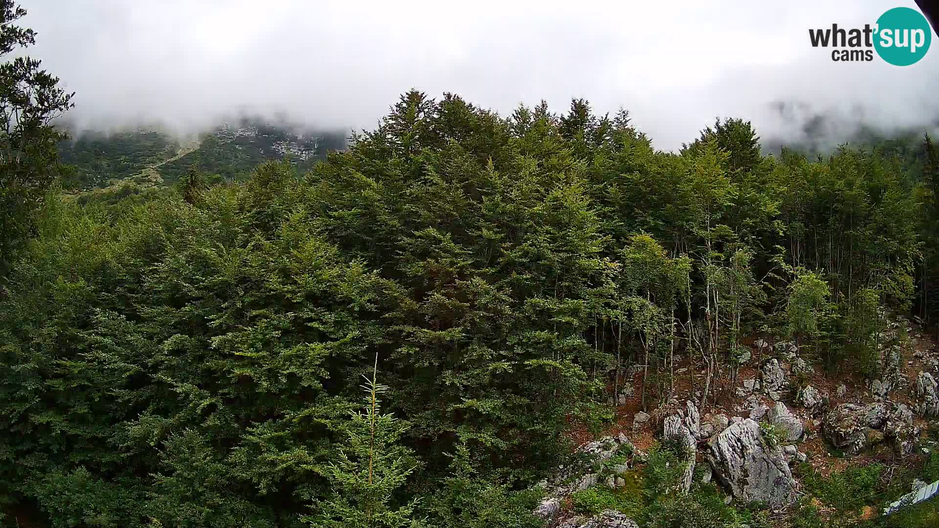 Livecam PLANINA RAZOR (1315) | vue sur Vogel et Globoko