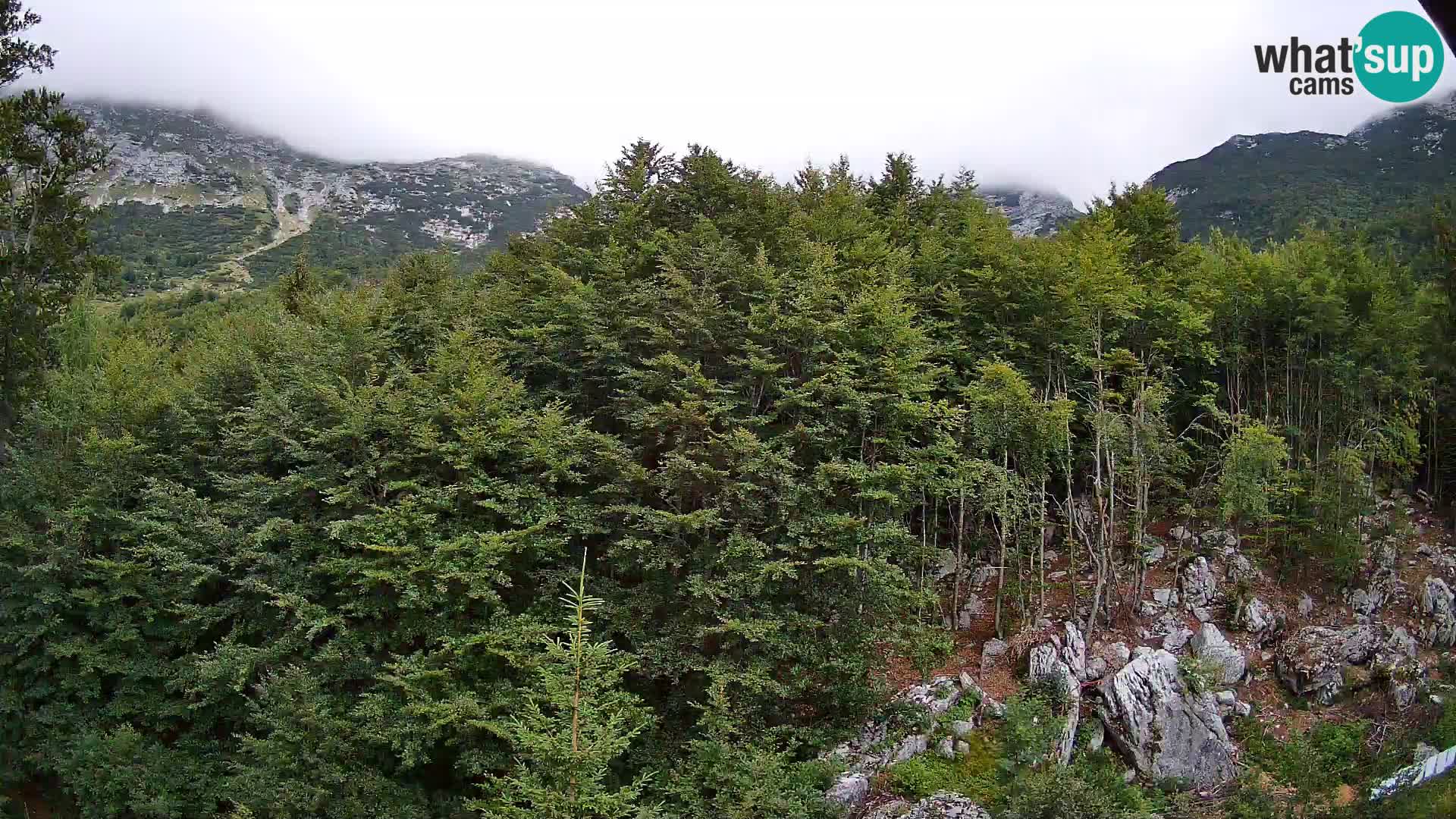 Webcam PLANINA RAZOR (1315) | Blick auf Vogel und Globoko
