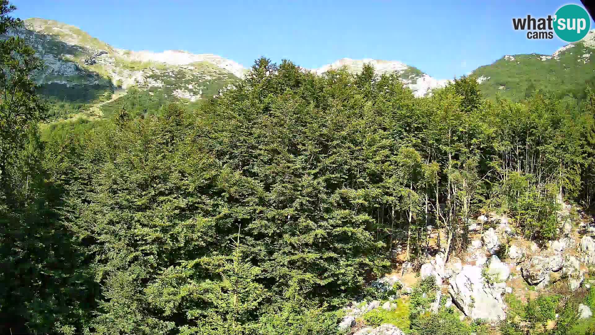 PLANINA RAZOR Live Cam (1315) | vista su Vogel e Globoko