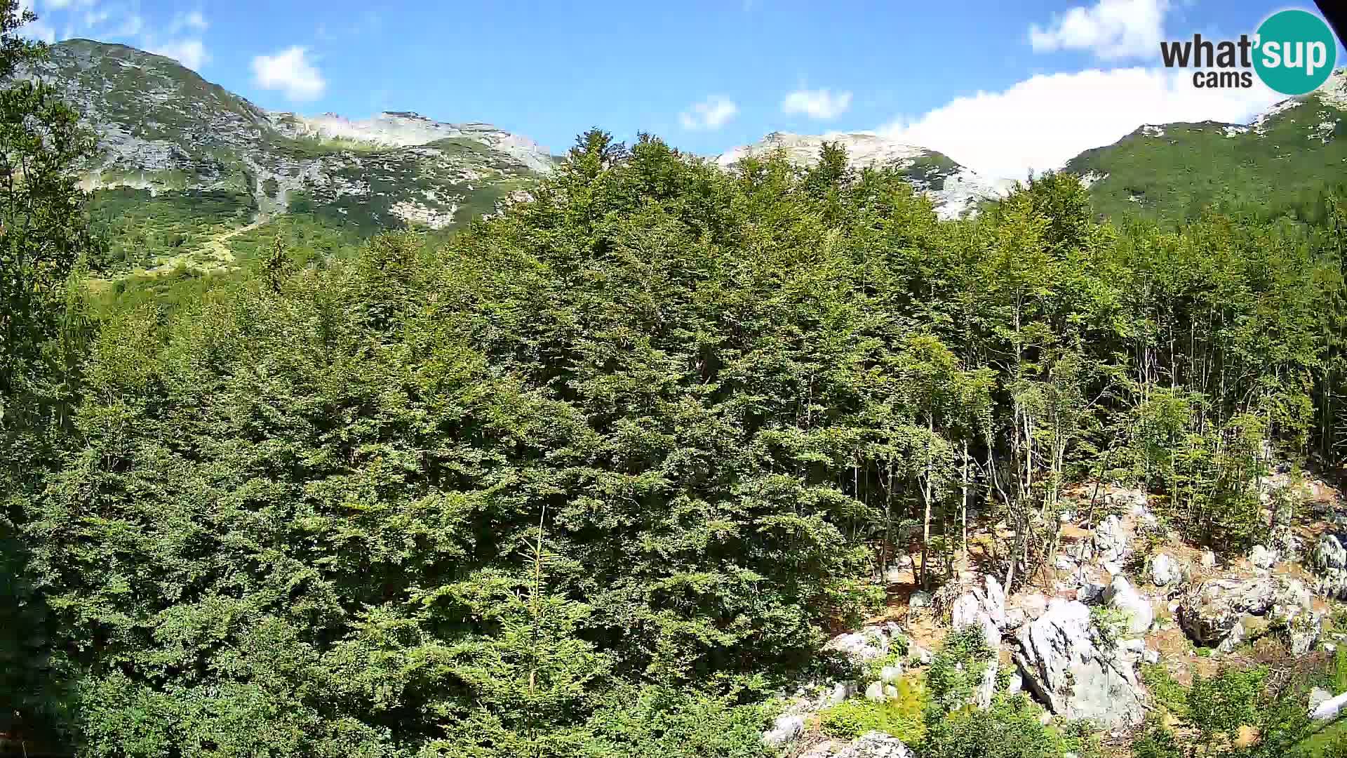 Livecam PLANINA RAZOR (1315) | vue sur Vogel et Globoko