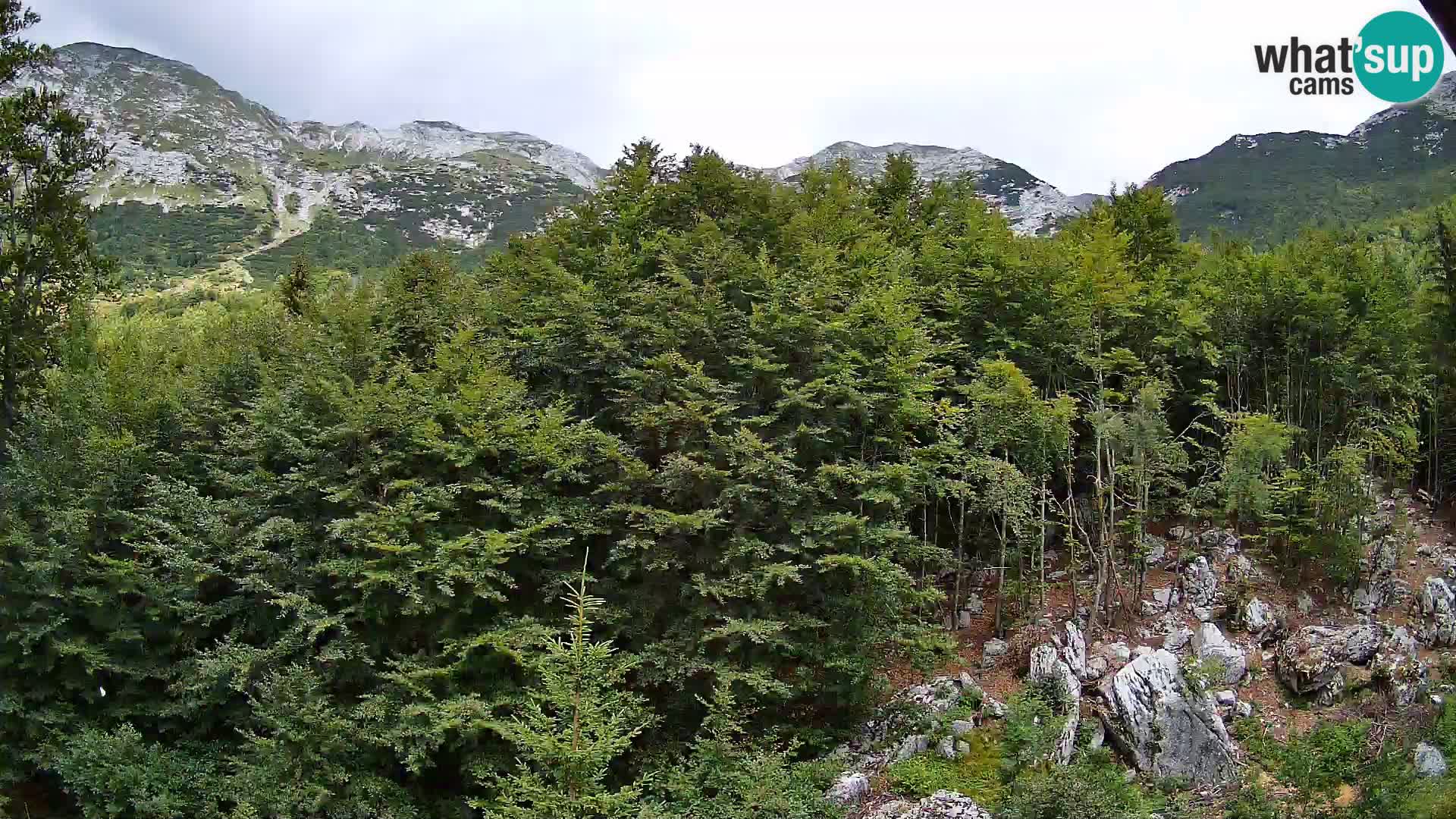 PLANINA RAZOR kamera (1315) | pogled na Vogel in Globoko