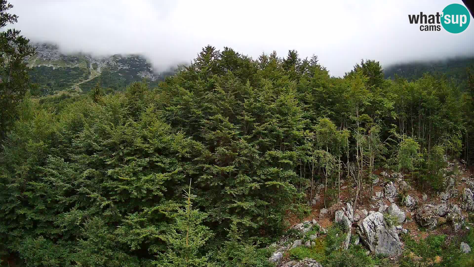 Cámara web PLANINA RAZOR (1315) | vista a Vogel y Globoko