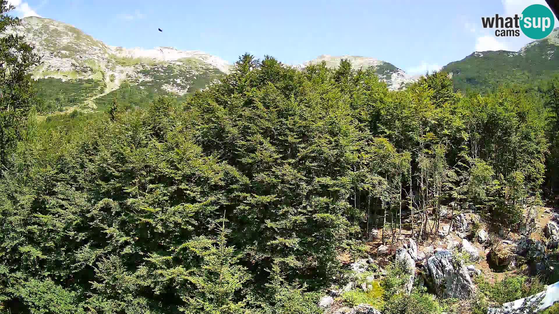 Livecam PLANINA RAZOR (1315) | vue sur Vogel et Globoko