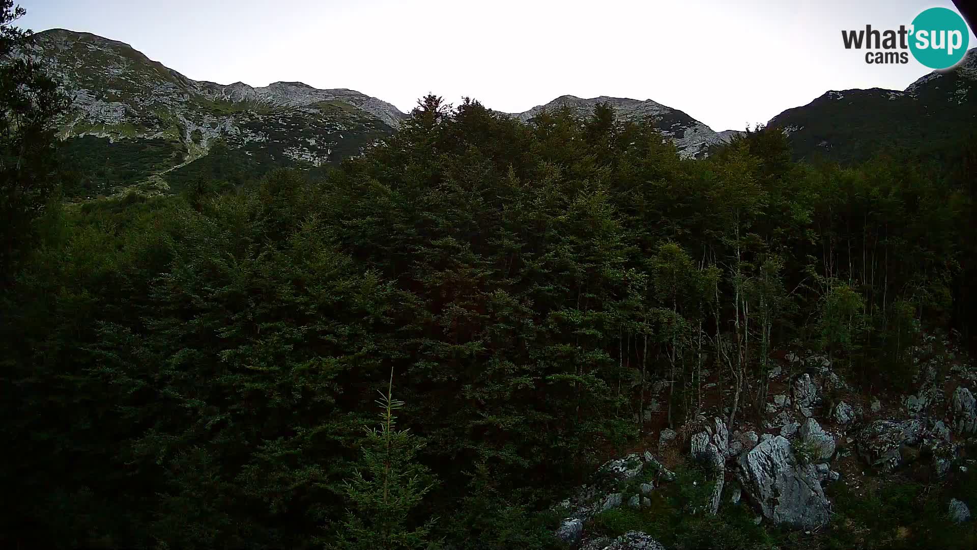 Webcam PLANINA RAZOR (1315) | Blick auf Vogel und Globoko
