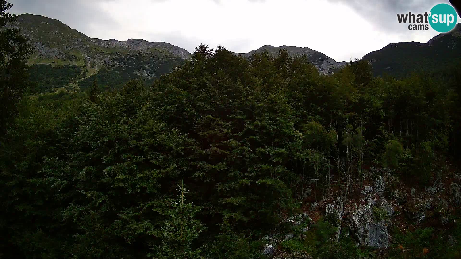 Livecam PLANINA RAZOR (1315) | vue sur Vogel et Globoko