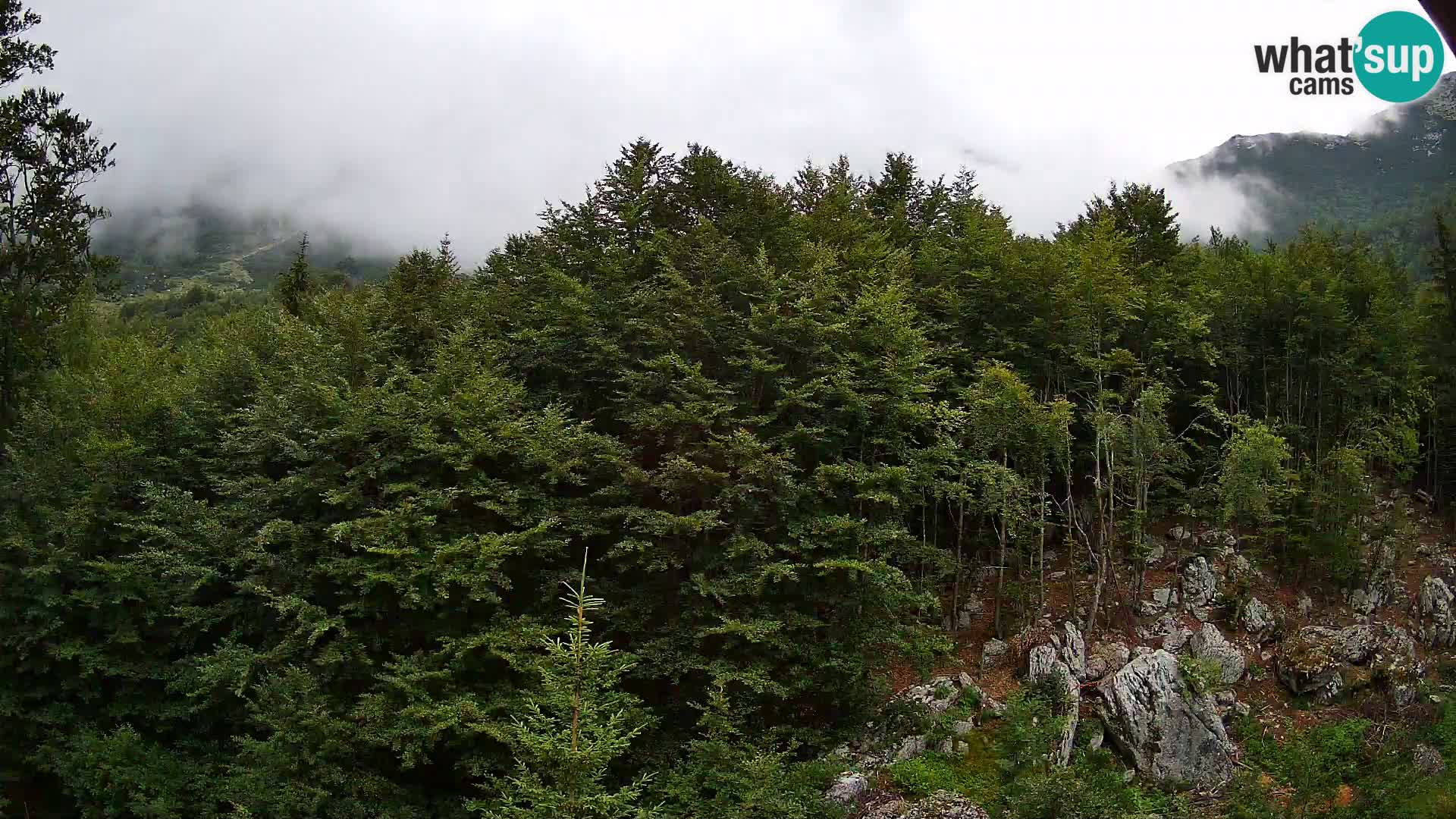 PLANINA RAZOR Live Cam (1315) | vista su Vogel e Globoko