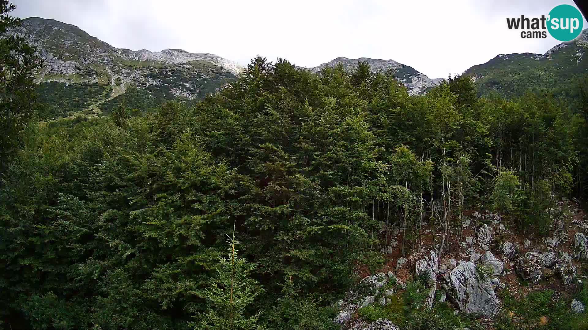 PLANINA RAZOR kamera (1315) | pogled na Vogel in Globoko
