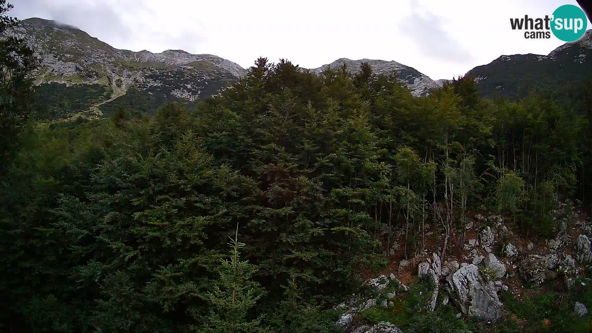 Webcam PLANINA RAZOR (1315) | Blick auf Vogel und Globoko