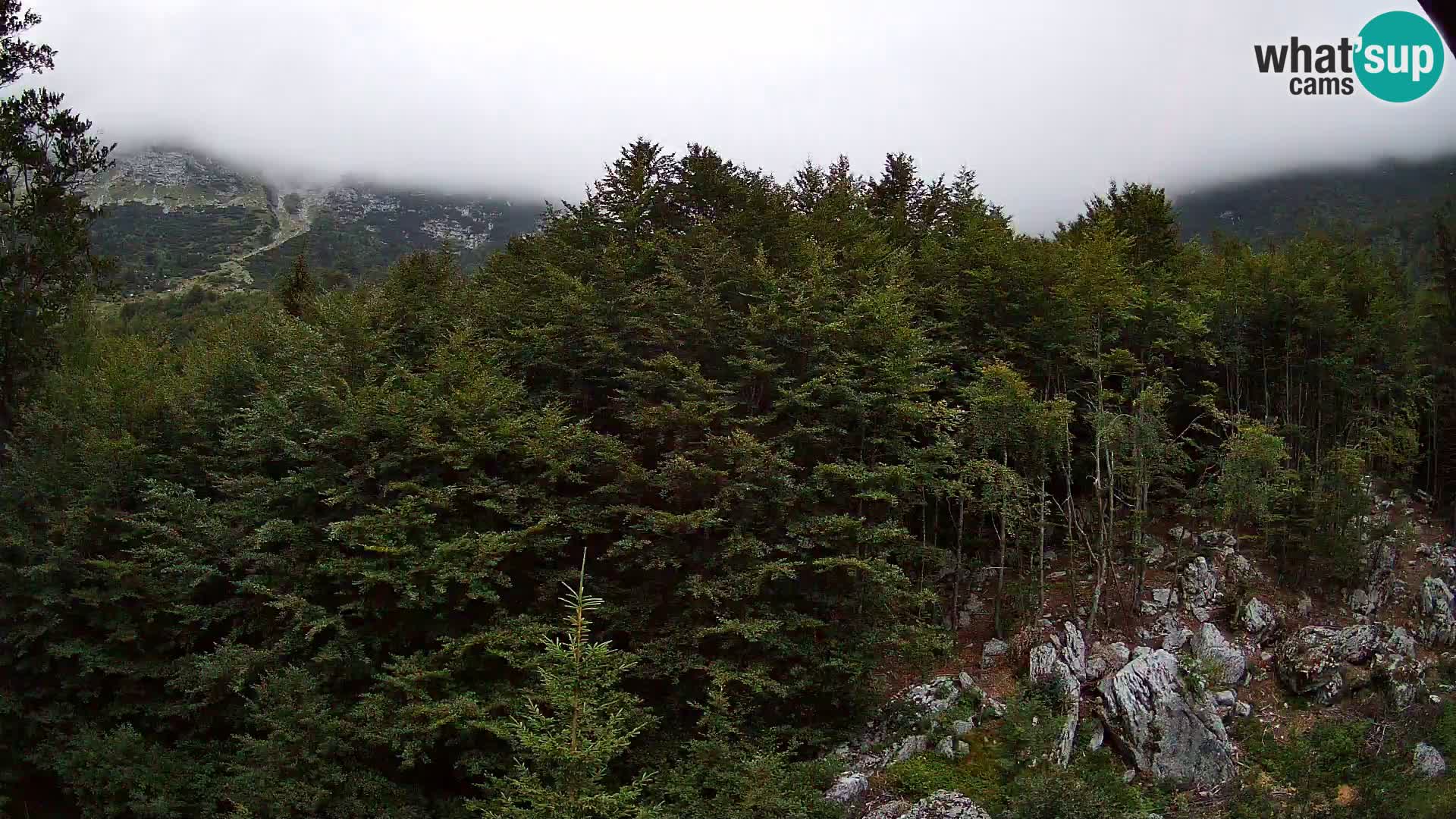 PLANINA RAZOR webcam (1315) | view to Vogel and Globoko