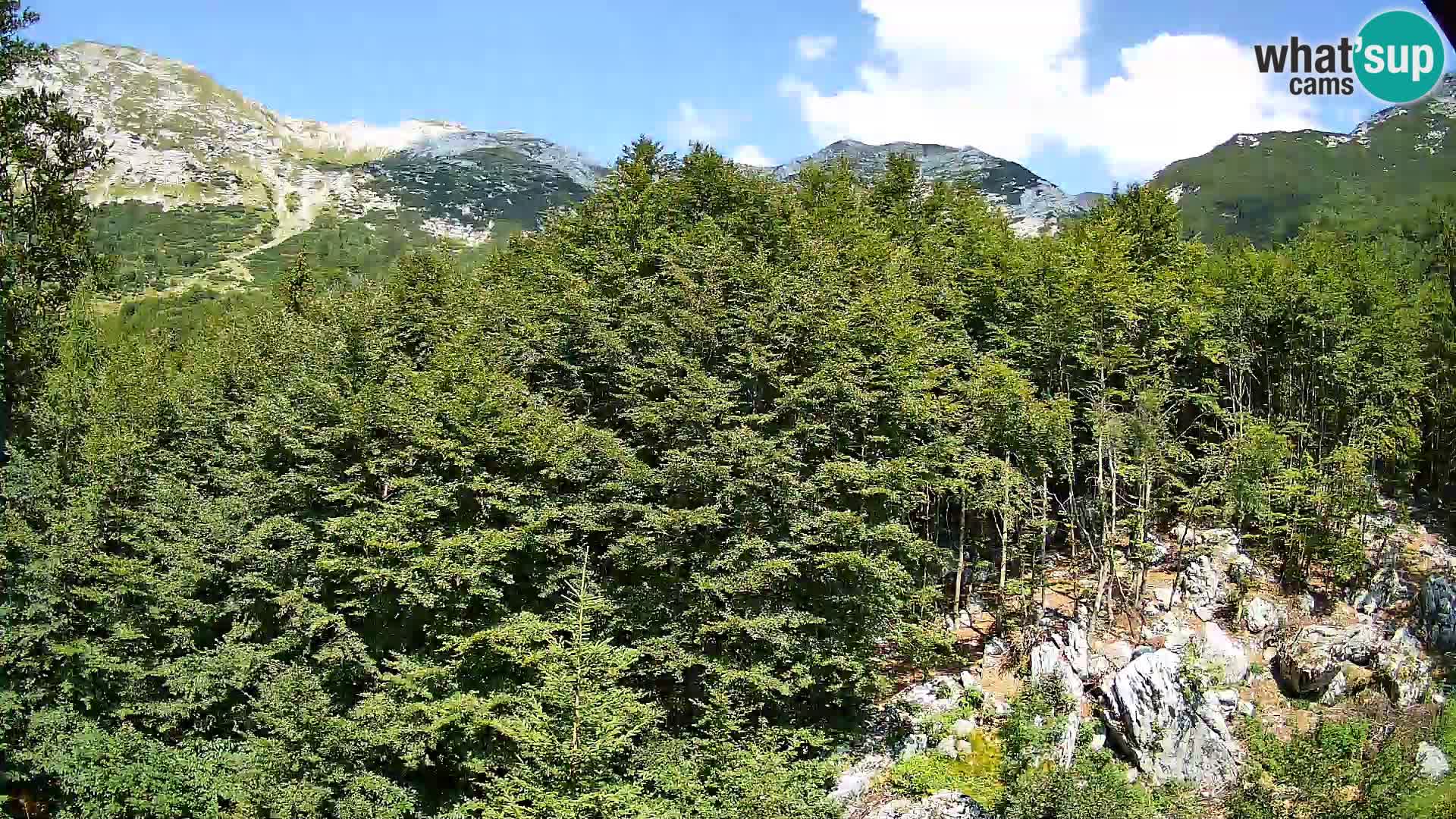PLANINA RAZOR Live Cam (1315) | vista su Vogel e Globoko