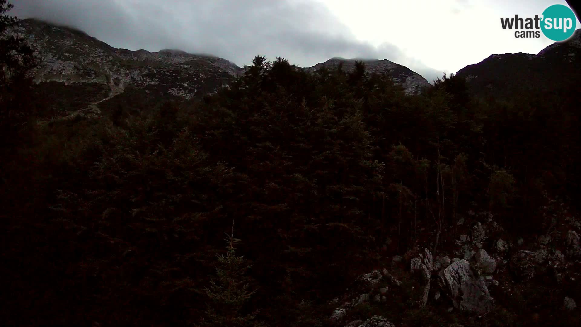 Webcam PLANINA RAZOR (1315) | Blick auf Vogel und Globoko
