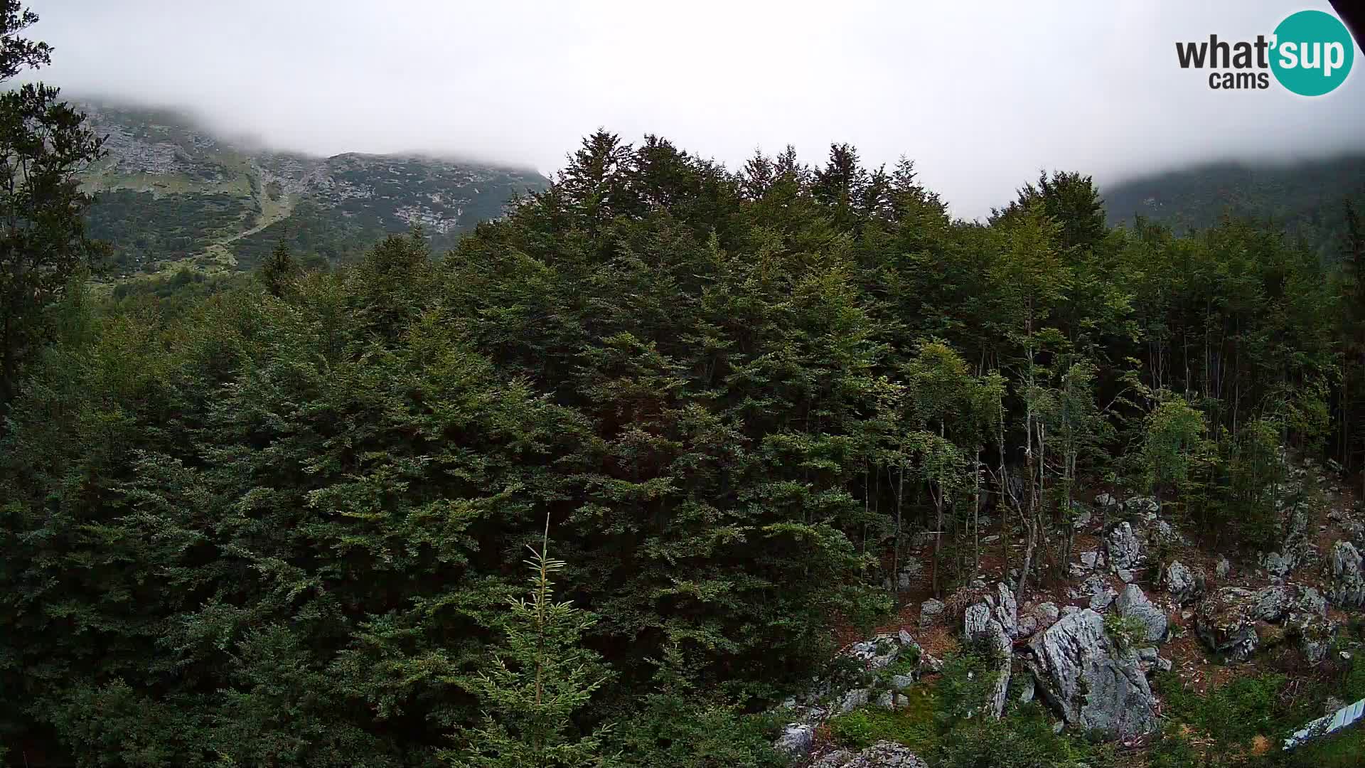 Livecam PLANINA RAZOR (1315) | vue sur Vogel et Globoko