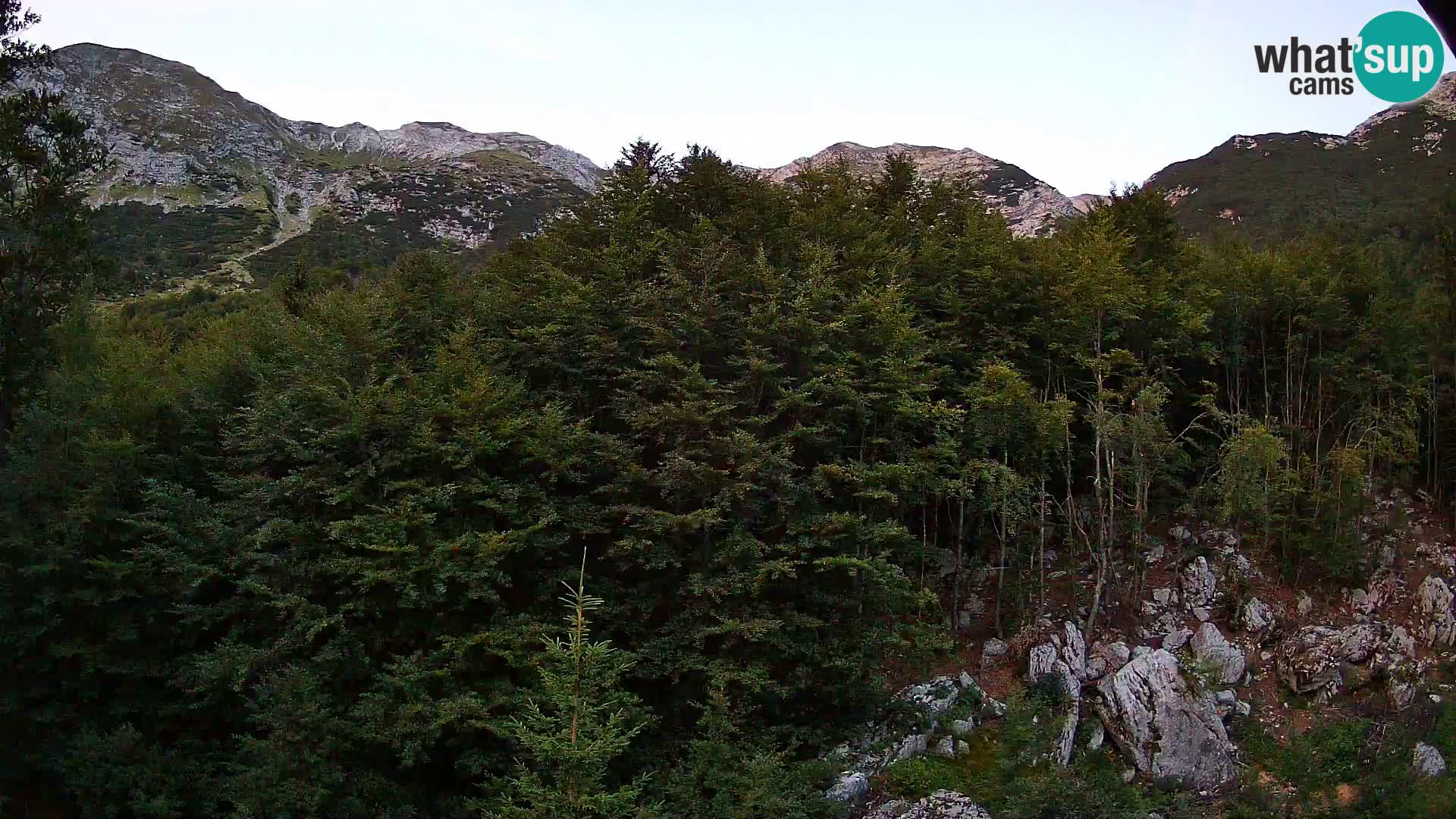 PLANINA RAZOR Live Cam (1315) | vista su Vogel e Globoko