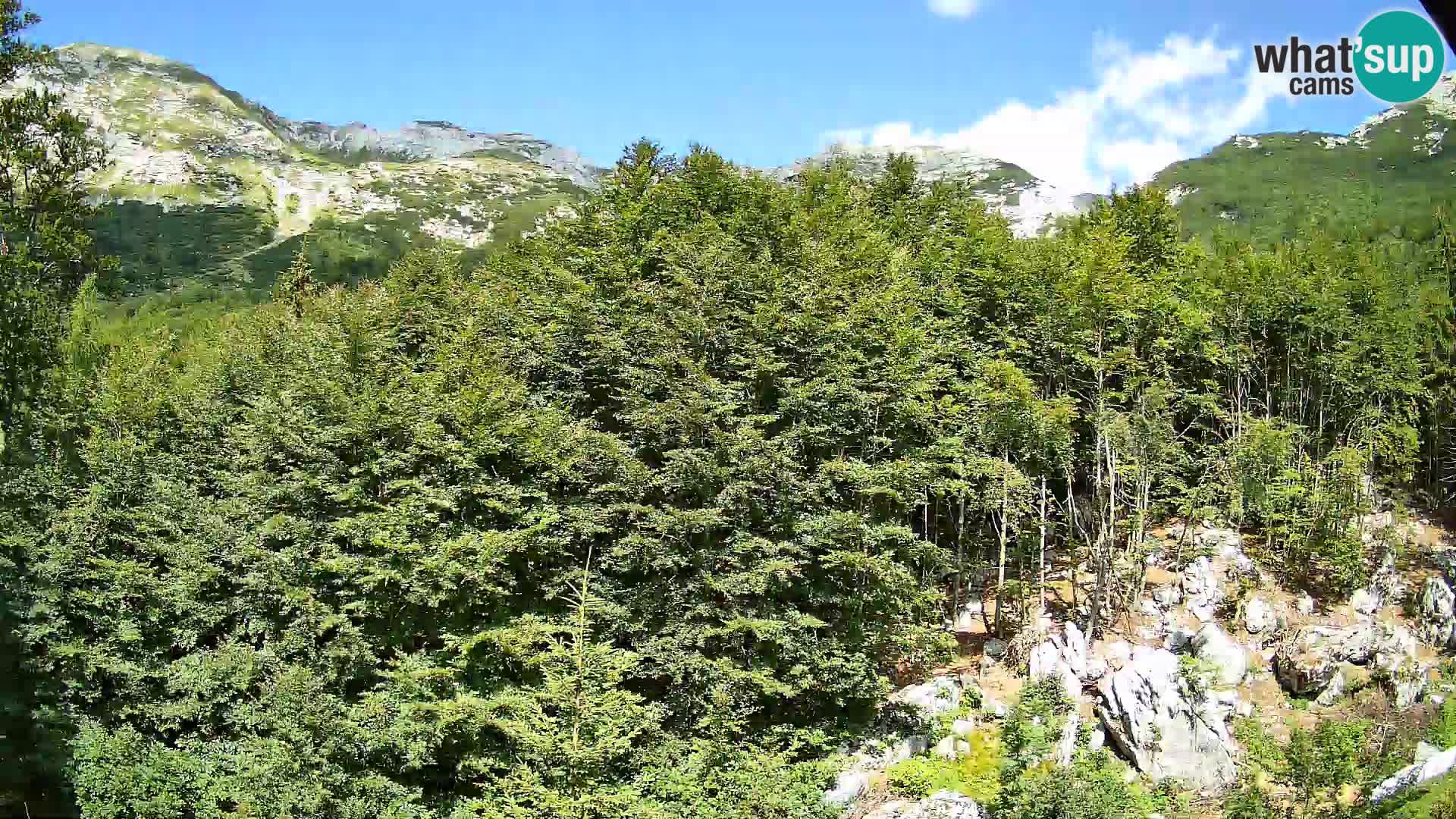 Cámara web PLANINA RAZOR (1315) | vista a Vogel y Globoko