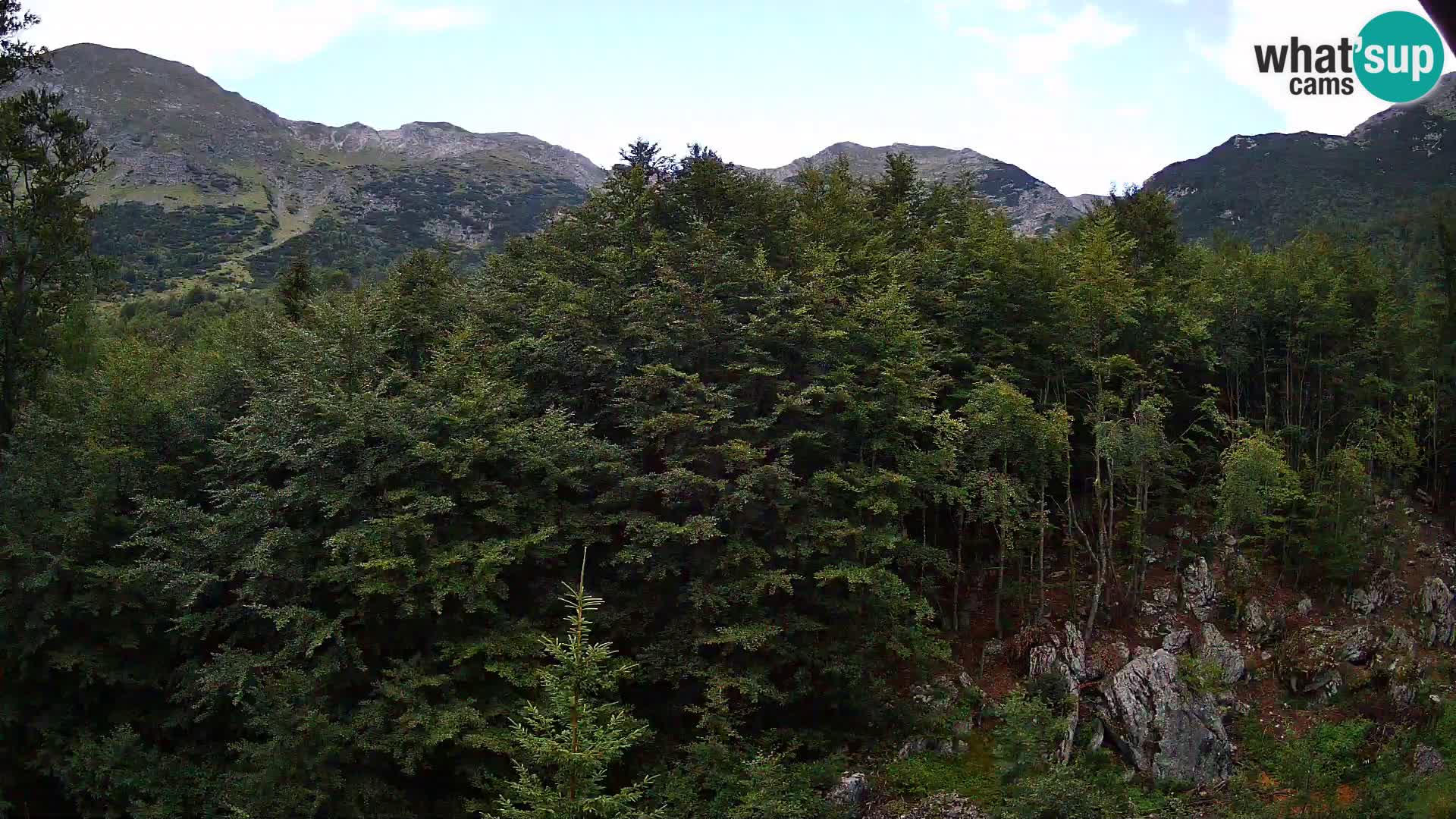 PLANINA RAZOR Live Cam (1315) | vista su Vogel e Globoko