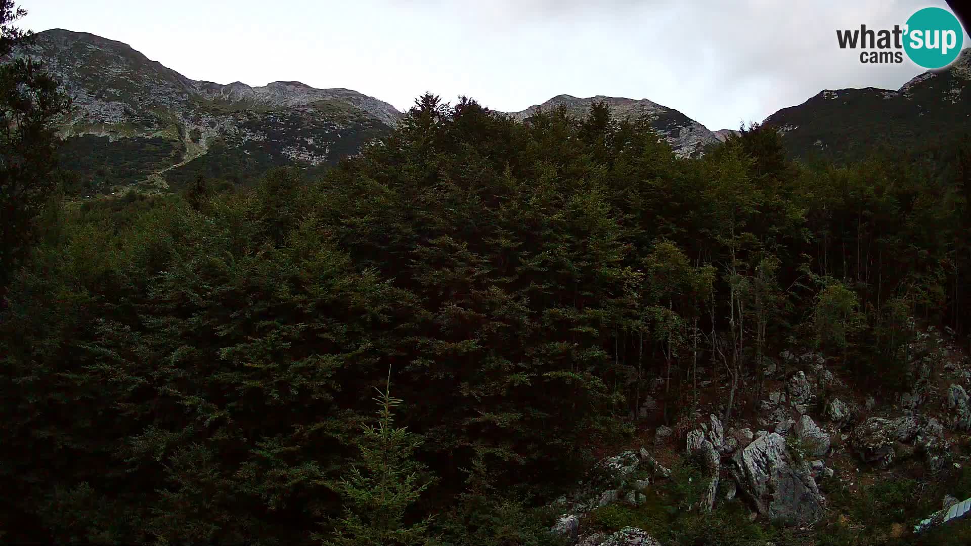 PLANINA RAZOR web kamera (1315) | pogled na Vogel i Globoko