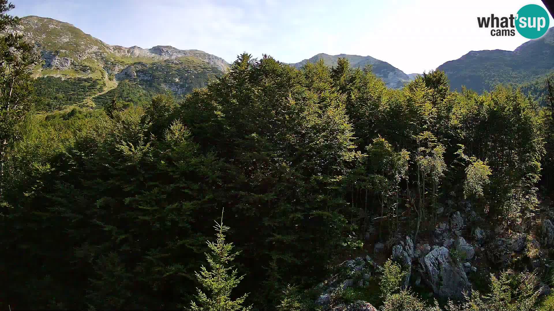 Cámara web PLANINA RAZOR (1315) | vista a Vogel y Globoko