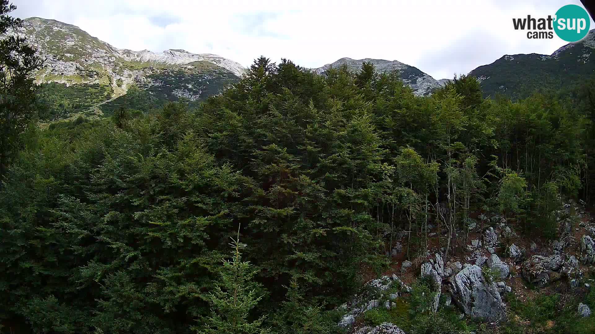 PLANINA RAZOR webcam (1315) | view to Vogel and Globoko