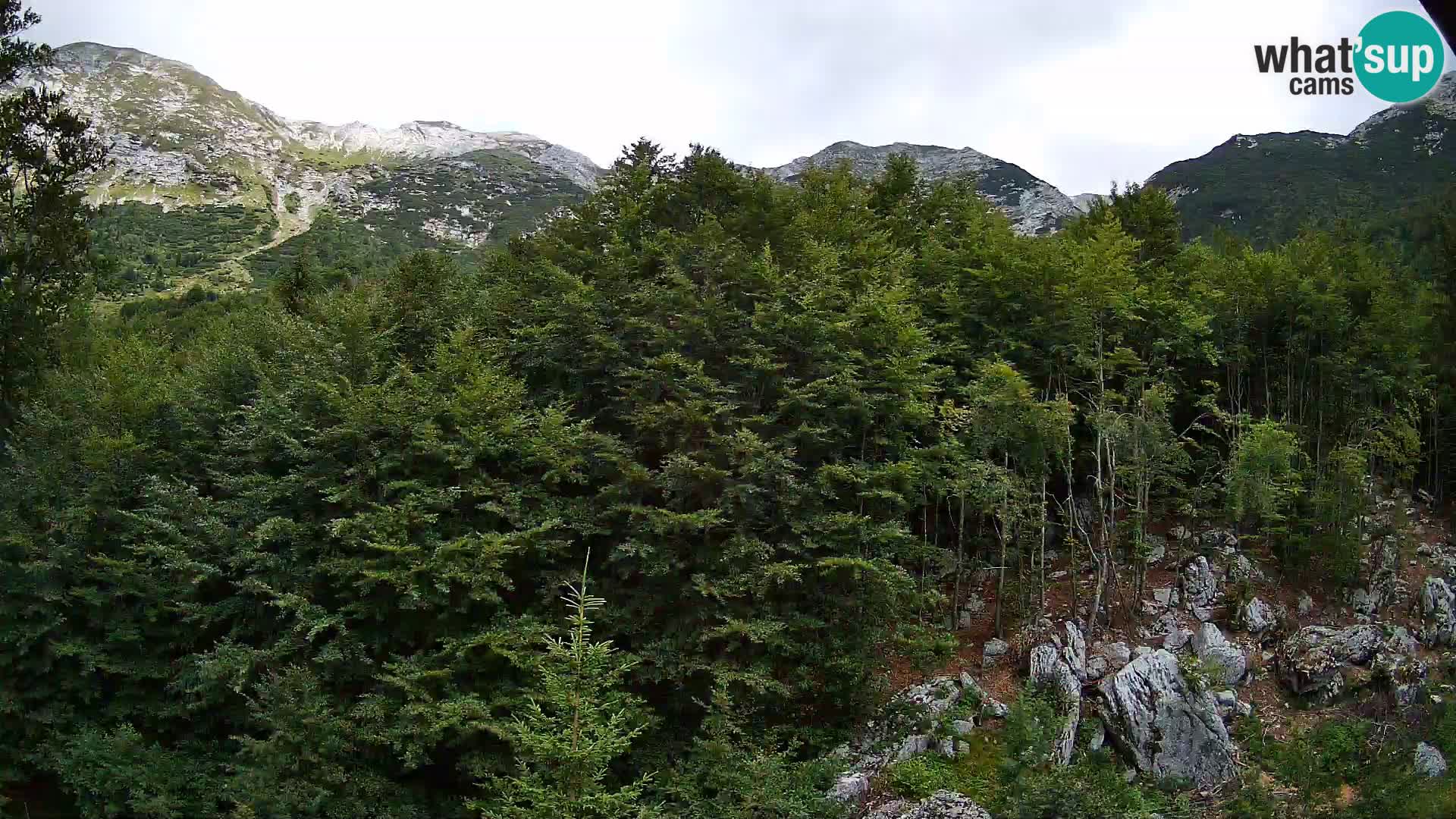 Livecam PLANINA RAZOR (1315) | vue sur Vogel et Globoko