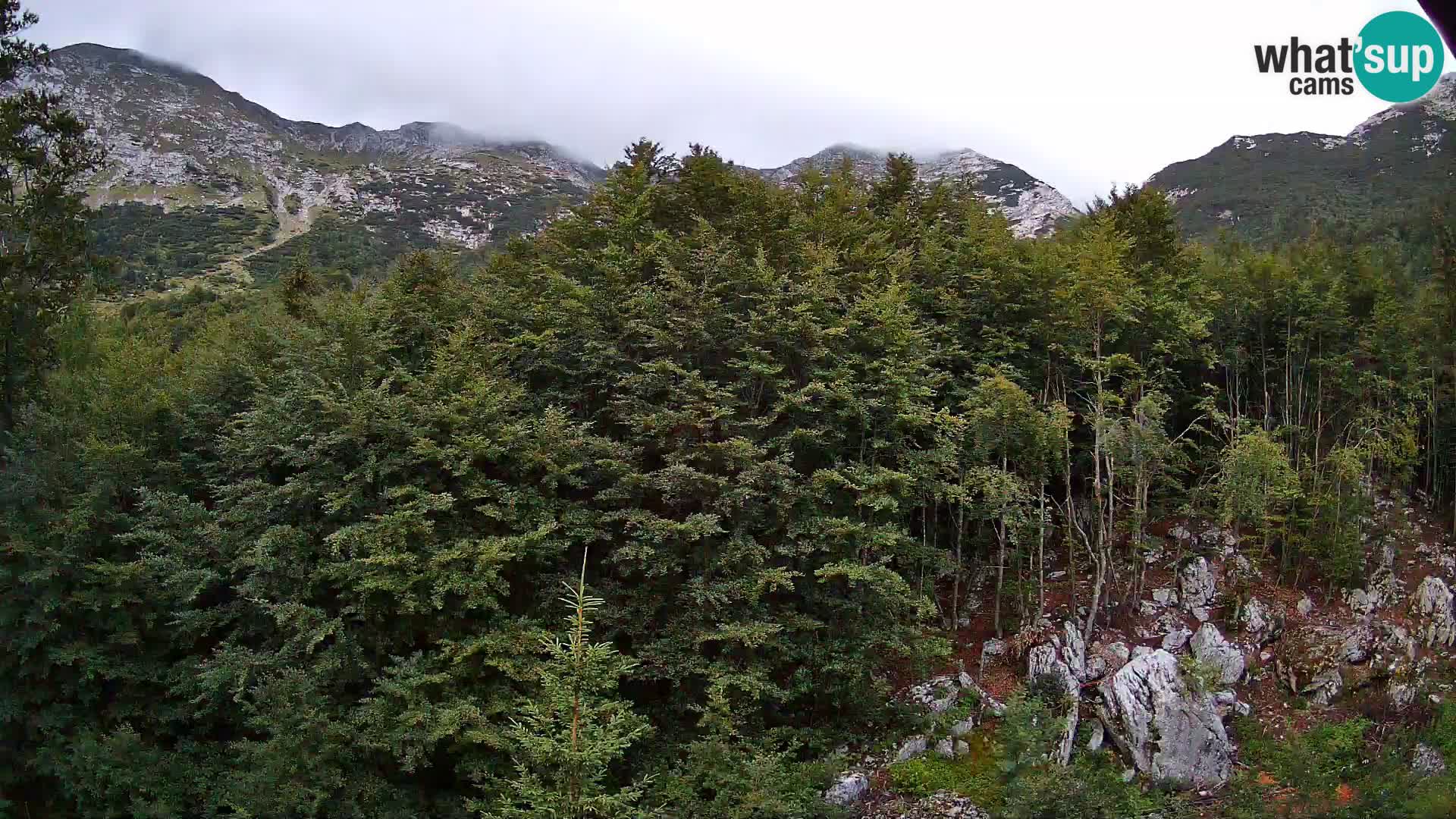 PLANINA RAZOR Live Cam (1315) | vista su Vogel e Globoko