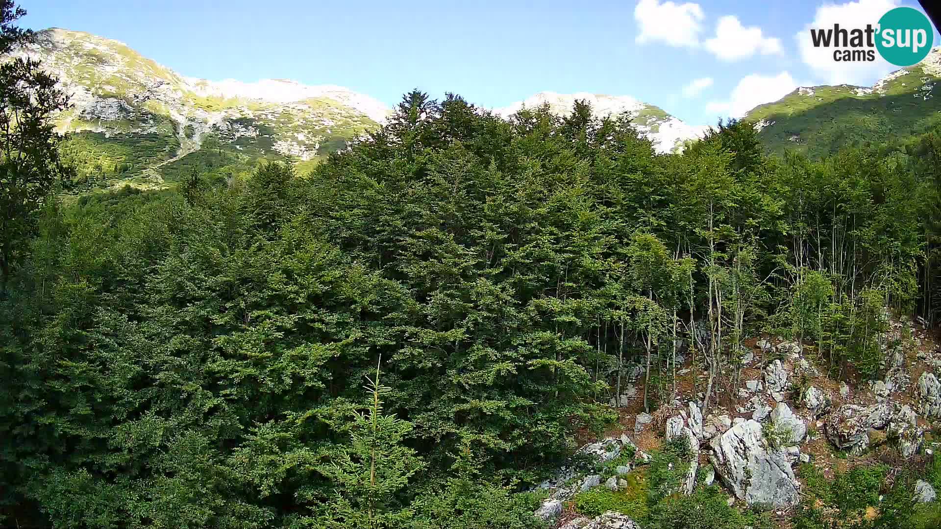 Cámara web PLANINA RAZOR (1315) | vista a Vogel y Globoko