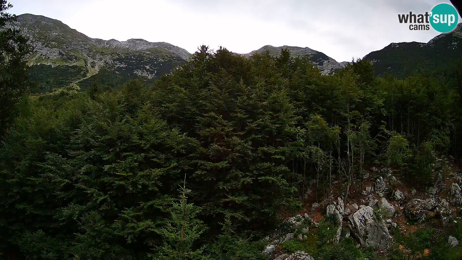 PLANINA RAZOR kamera (1315) | pogled na Vogel in Globoko
