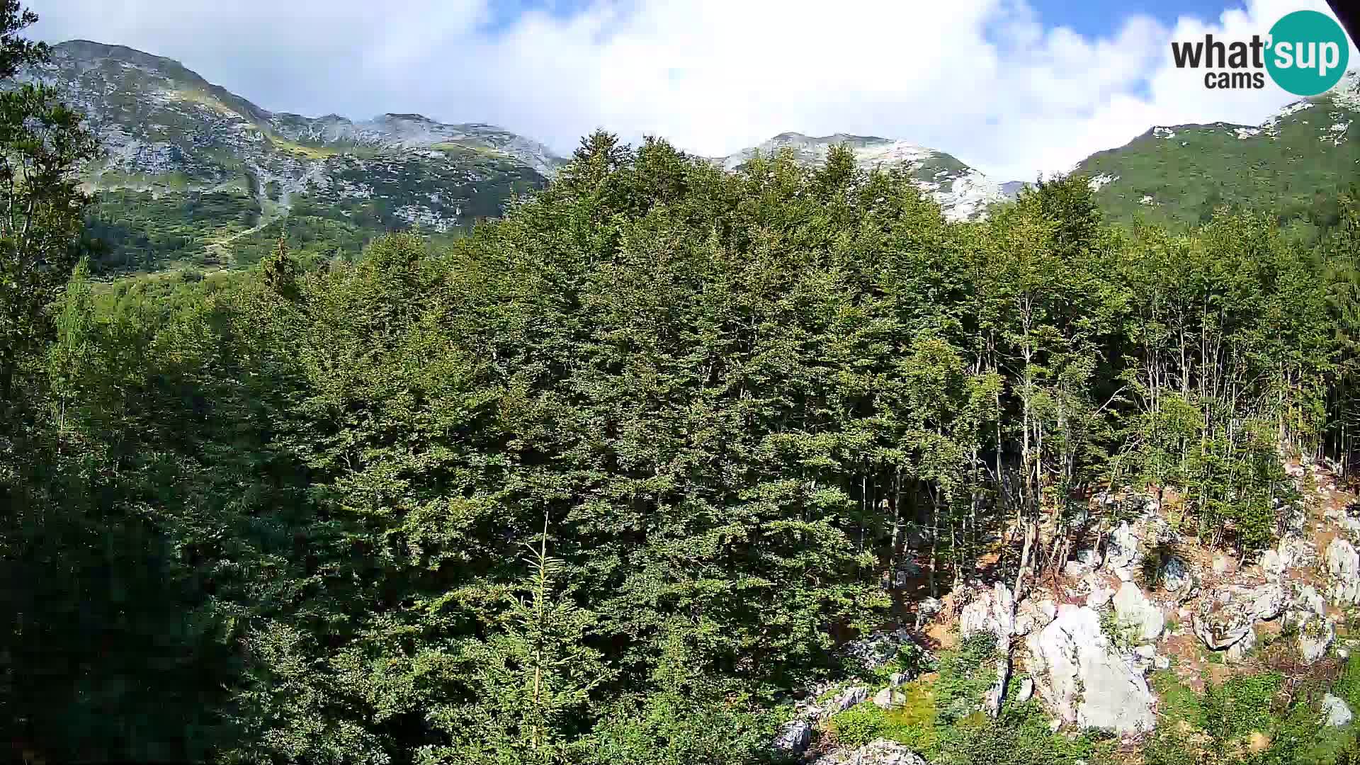 Webcam PLANINA RAZOR (1315) | Blick auf Vogel und Globoko