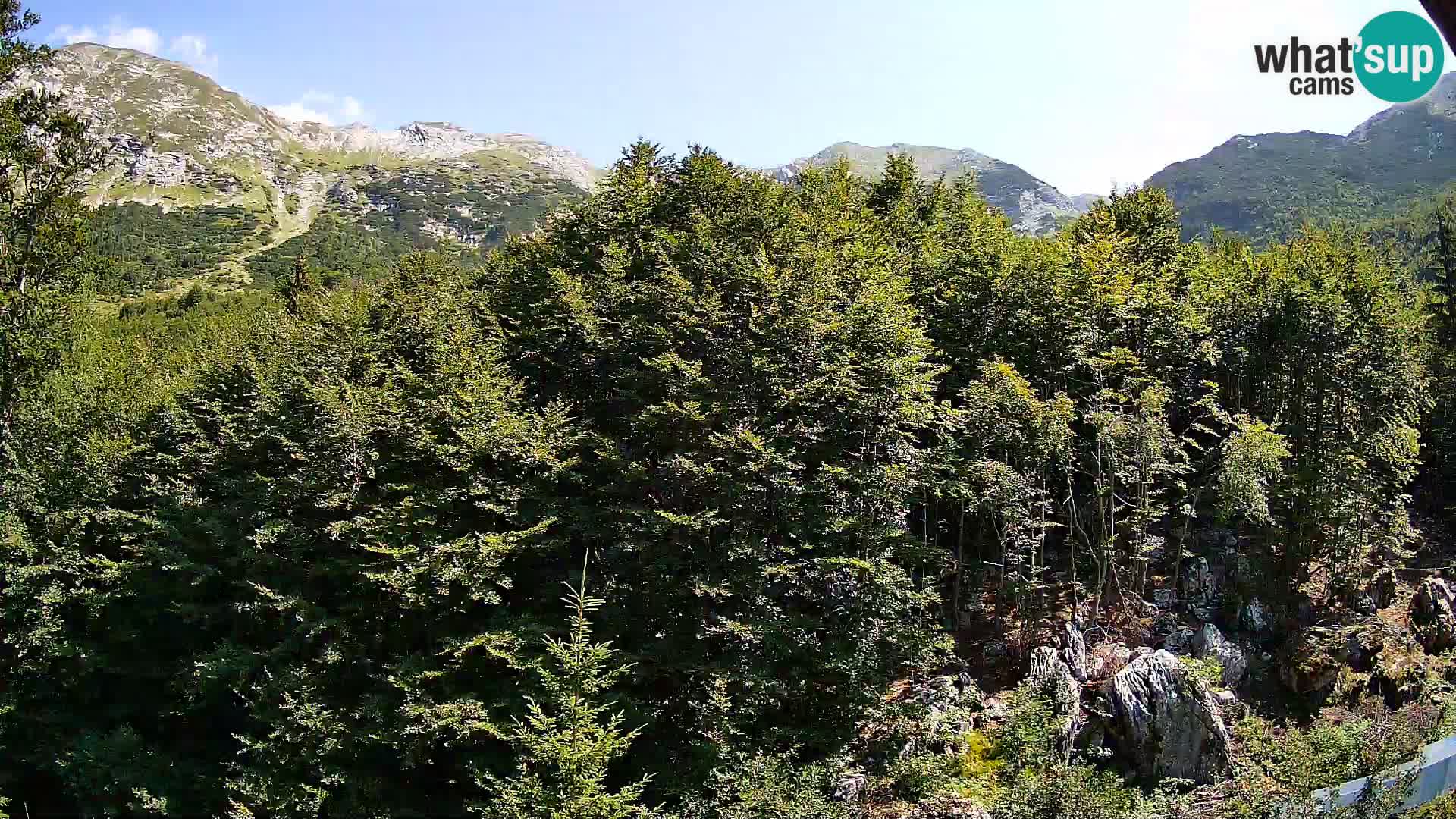 PLANINA RAZOR kamera (1315) | pogled na Vogel in Globoko